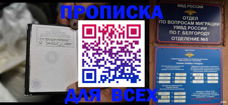 где прописаться в Ивантеевке